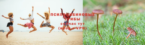 СК Армянск