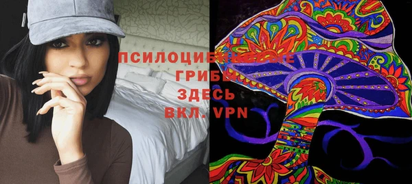 дмт Алексеевка